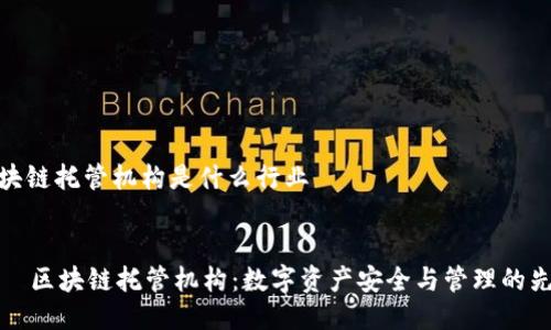 区块链托管机构是什么行业


    区块链托管机构：数字资产安全与管理的先锋