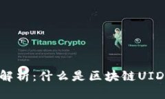 区块链UID解析：什么是区块链UID及其重要性
