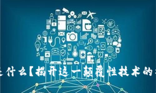 区块链是什么？揭开这一颠覆性技术的神秘面纱