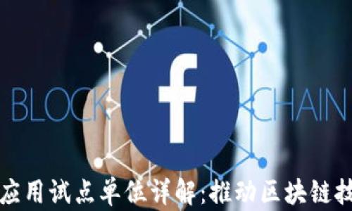 
    区块链新应用试点单位详解：推动区块链技术落地的关键