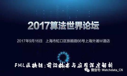 FML区块链：前沿技术与应用深度解析