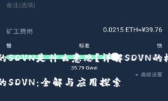 区块链里的SDVN是什么意思？详解SDVN的概念与应用