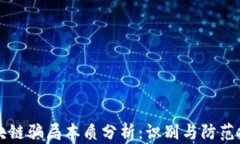 区块链骗局本质分析：识别与防范技巧