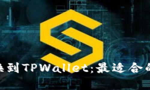 如何将File转换到TPWallet：最适合的链和操作指南