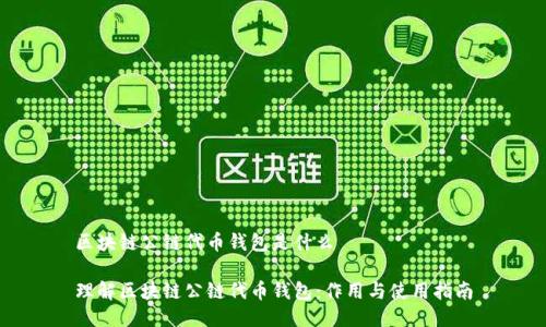 区块链公链代币钱包是什么

理解区块链公链代币钱包：作用与使用指南