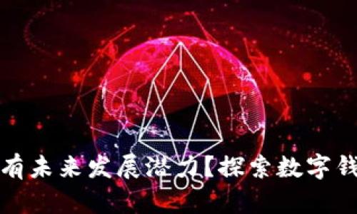 tpwallet是否具有未来发展潜力？探索数字钱包的前景与挑战