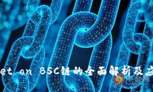 TPWallet on BSC链的全面解析及应用指南