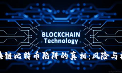 揭开区块链比特币陷阱的真相：风险与机遇并存