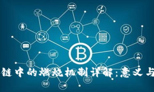 区块链中的燃烧机制详解：意义与应用