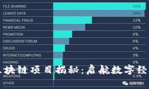 翟山鹰的区块链项目揭秘：启航数字经济的新篇章