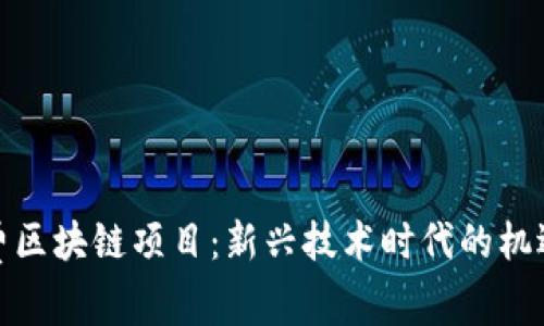 探索免费区块链项目：新兴技术时代的机遇与挑战